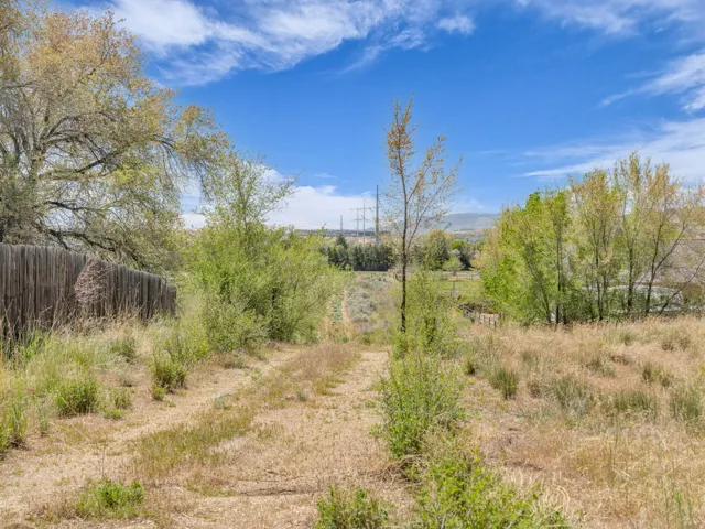 Expansive outdoor area featuring varied natural landscaping and mature trees