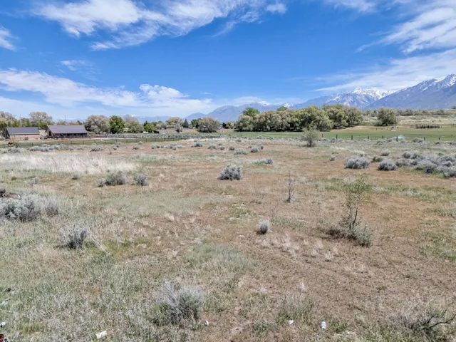 Expansive open acreage featuring natural vegetation and distant mountain ranges