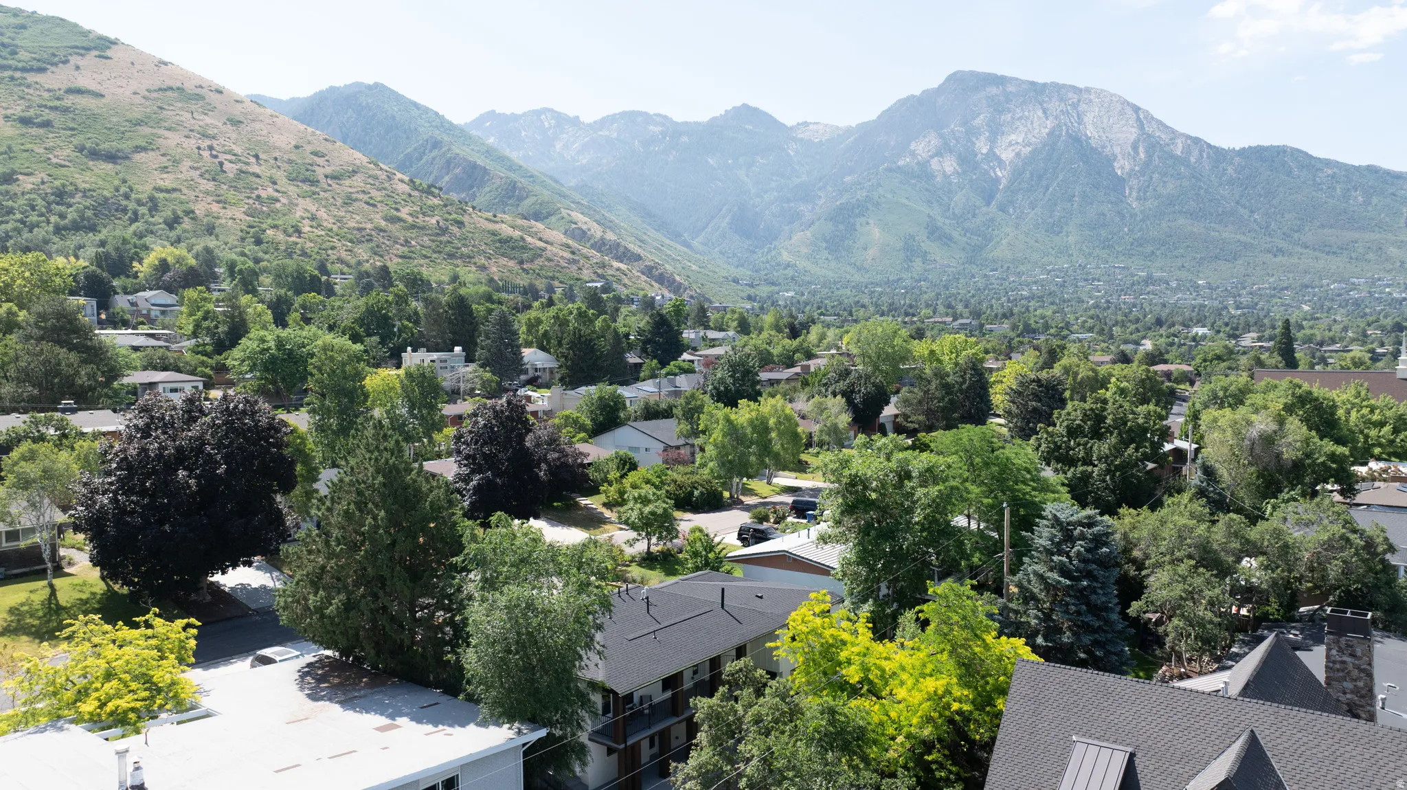 Expansive mountain backdrop framing a residential area with varied rooflines and mature tree canopy