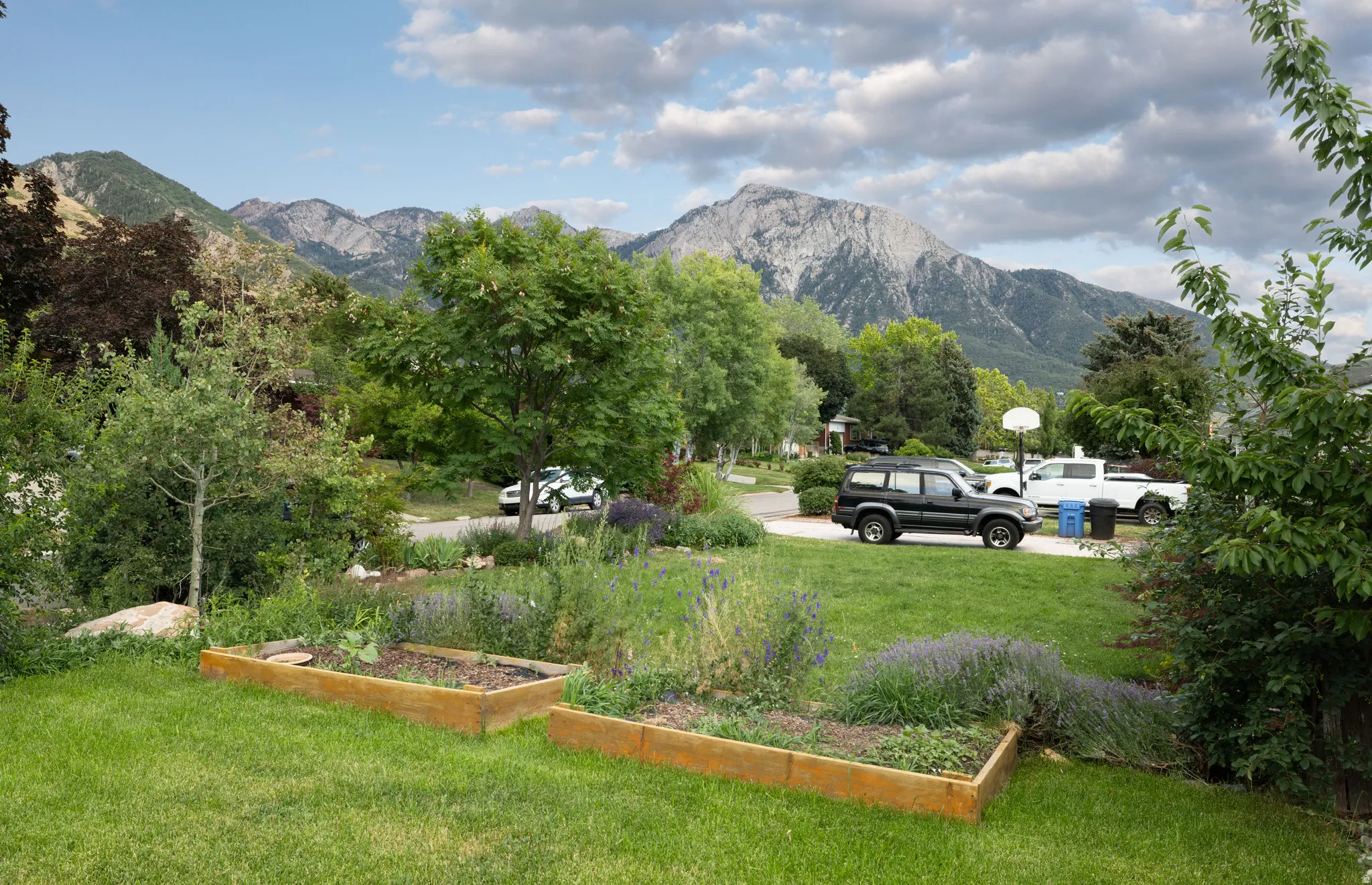Manicured lawn with two raised garden beds, surrounded by mature trees and mountain scenery