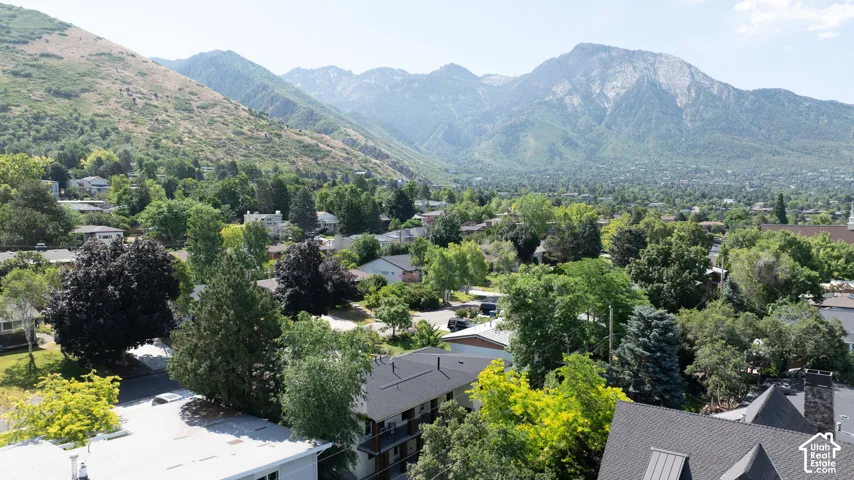 Expansive mountain backdrop framing a residential area with varied rooflines and mature tree canopy
