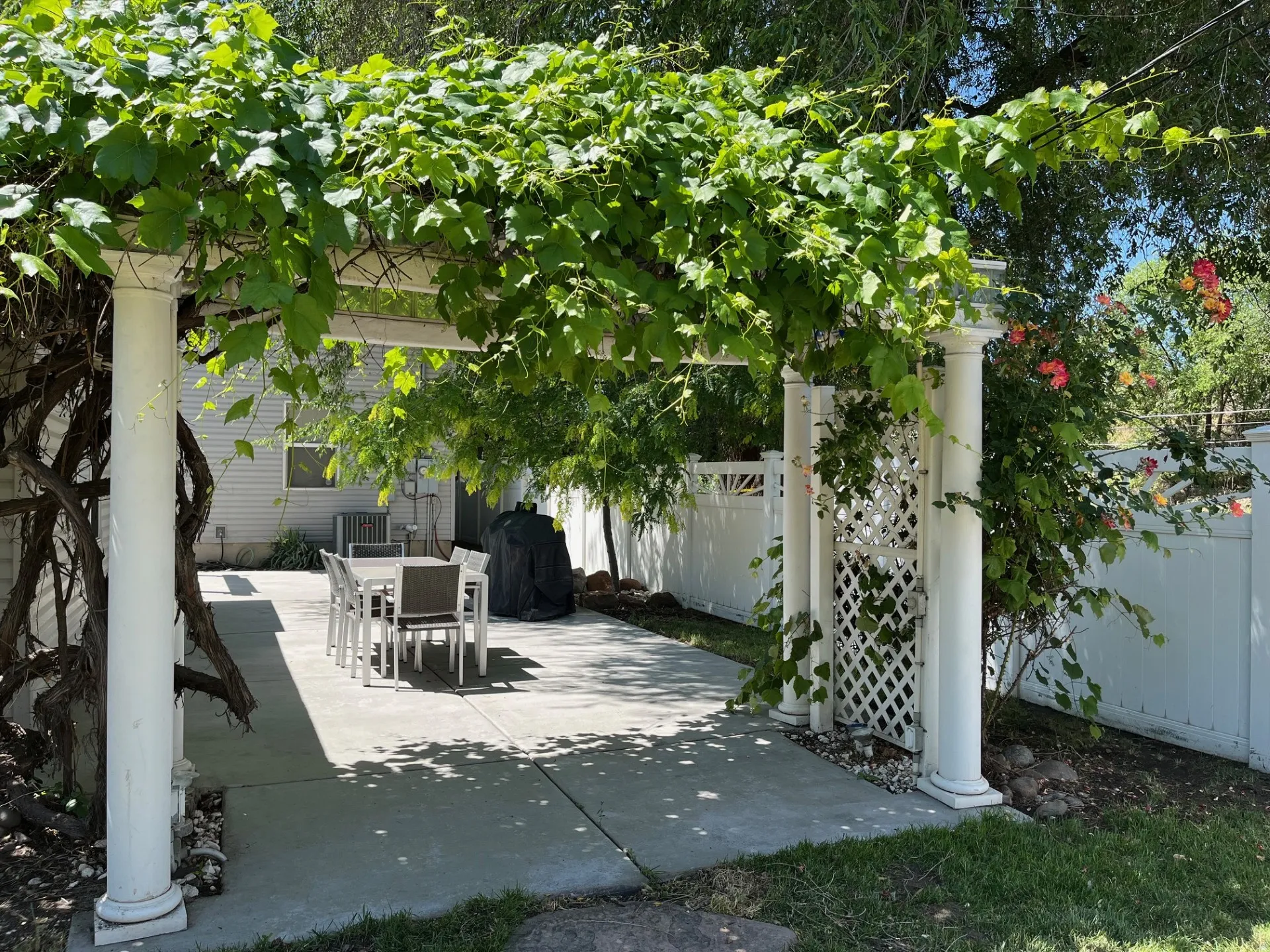 Patio terrace