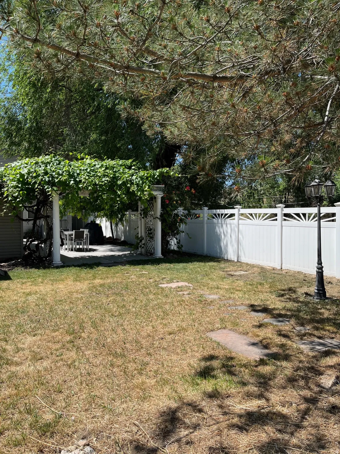 Expansive outdoor patio featuring a vine-covered pergola, paved flooring, and white privacy fencing