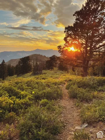 Powder Mountain ski resort area in the spring/summer.