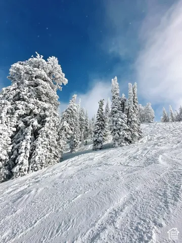 Powder Mountain ski resort in the winter.