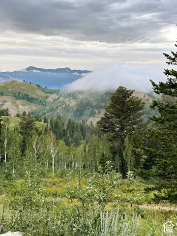 Powder Mountain ski resort area in the spring/summer.