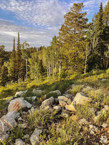 Powder Mountain ski resort area in the spring/summer.