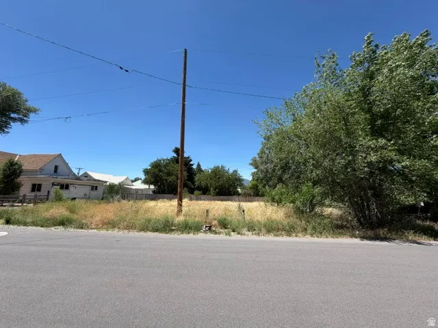 Expansive undeveloped lot featuring natural vegetation and mature trees, offering significant potential