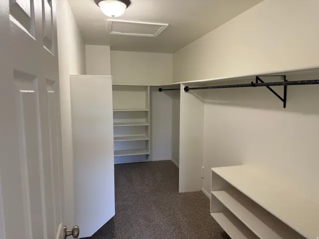 Spacious walk-in closet featuring ample shelving, dual hanging rods, and neutral-toned carpeting