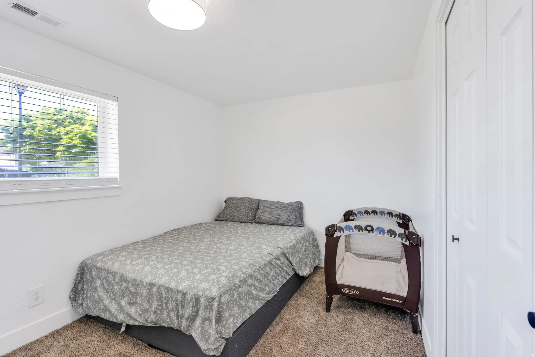 Carpeted room with a window featuring horizontal blinds and a white-paneled door