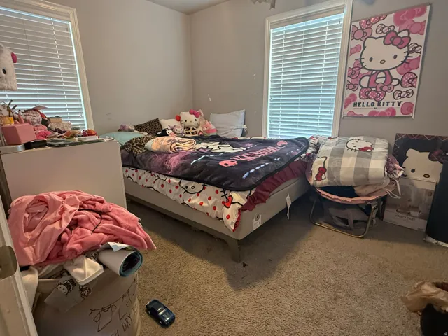 Carpeted room with two window units featuring horizontal blinds