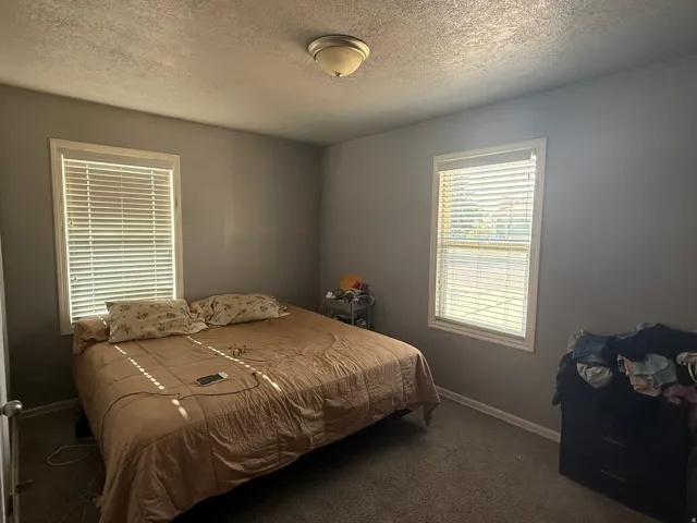 Neutral gray wall paint with white trim, gray carpet flooring, and two windows featuring horizontal blinds