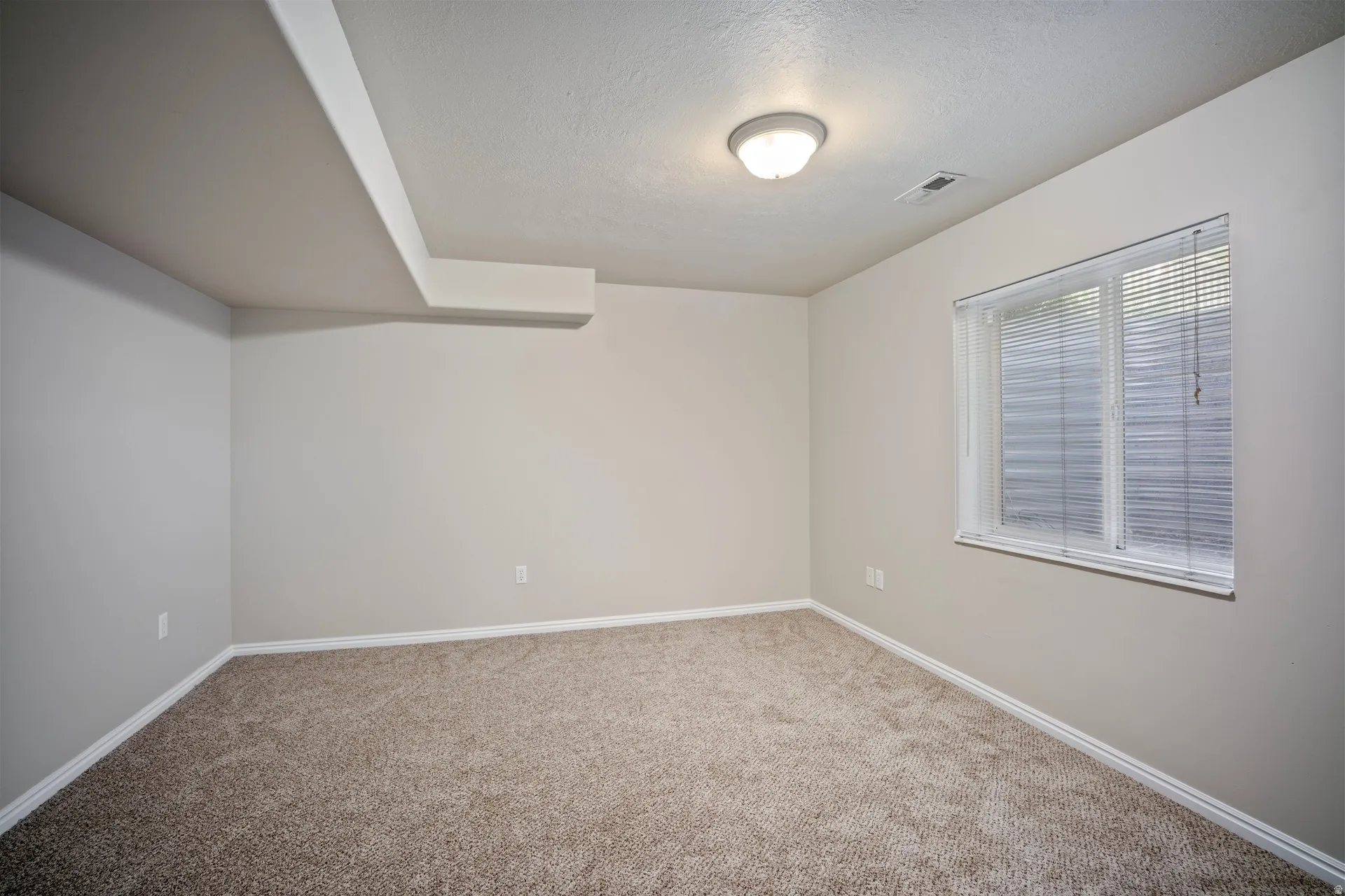 Recessed window with blinds, overhead lighting, and wall-to-wall carpeting