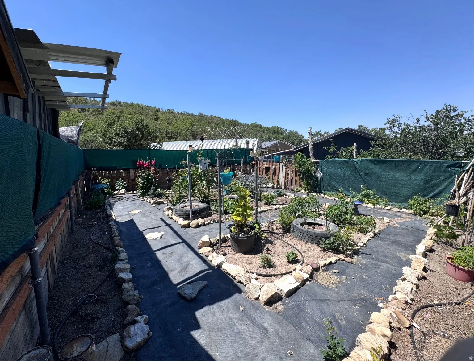 Expansive garden area featuring defined pathways, mature plants, and an irrigation system
