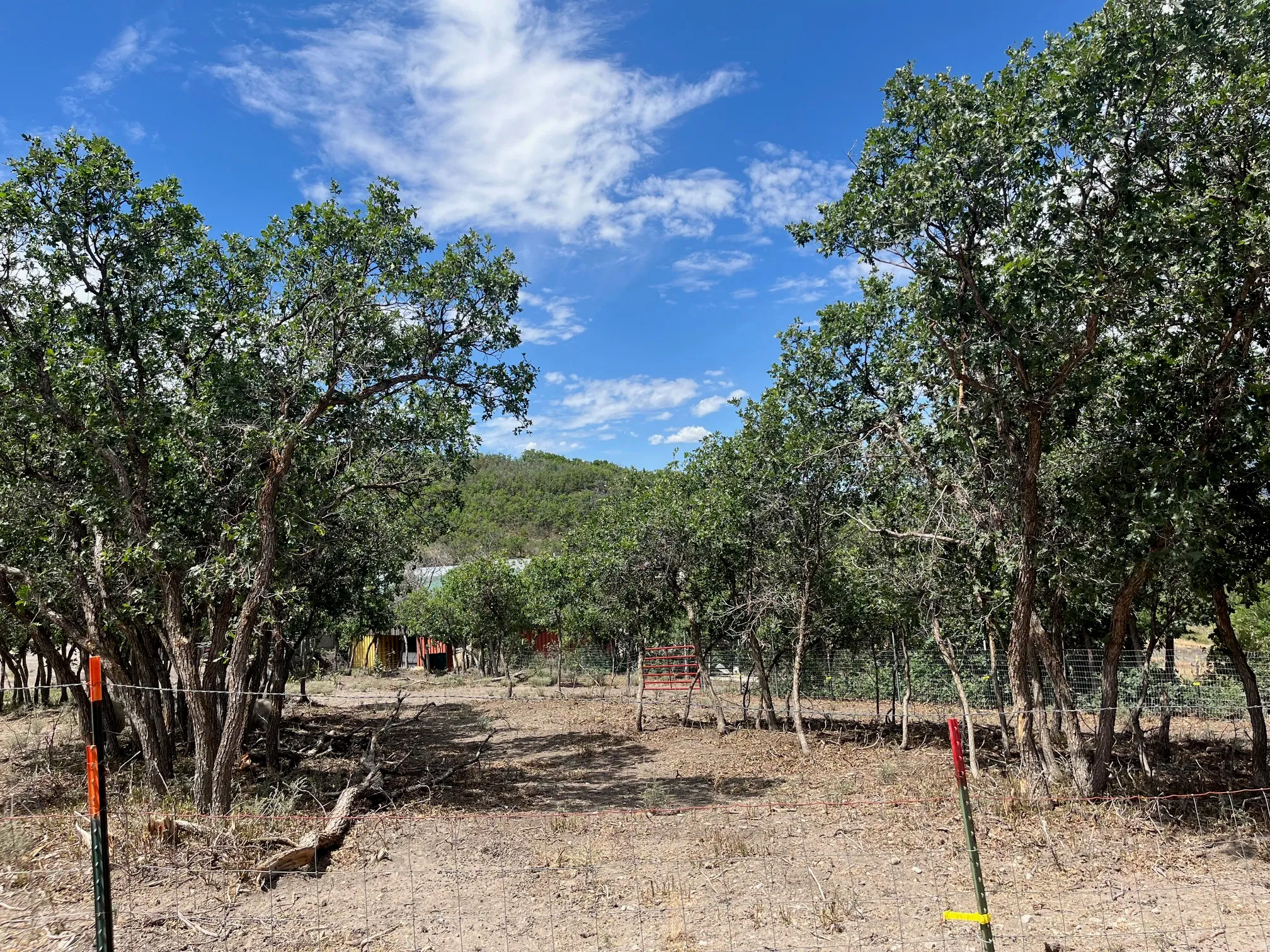 Wooded property with mature trees and visible fencing