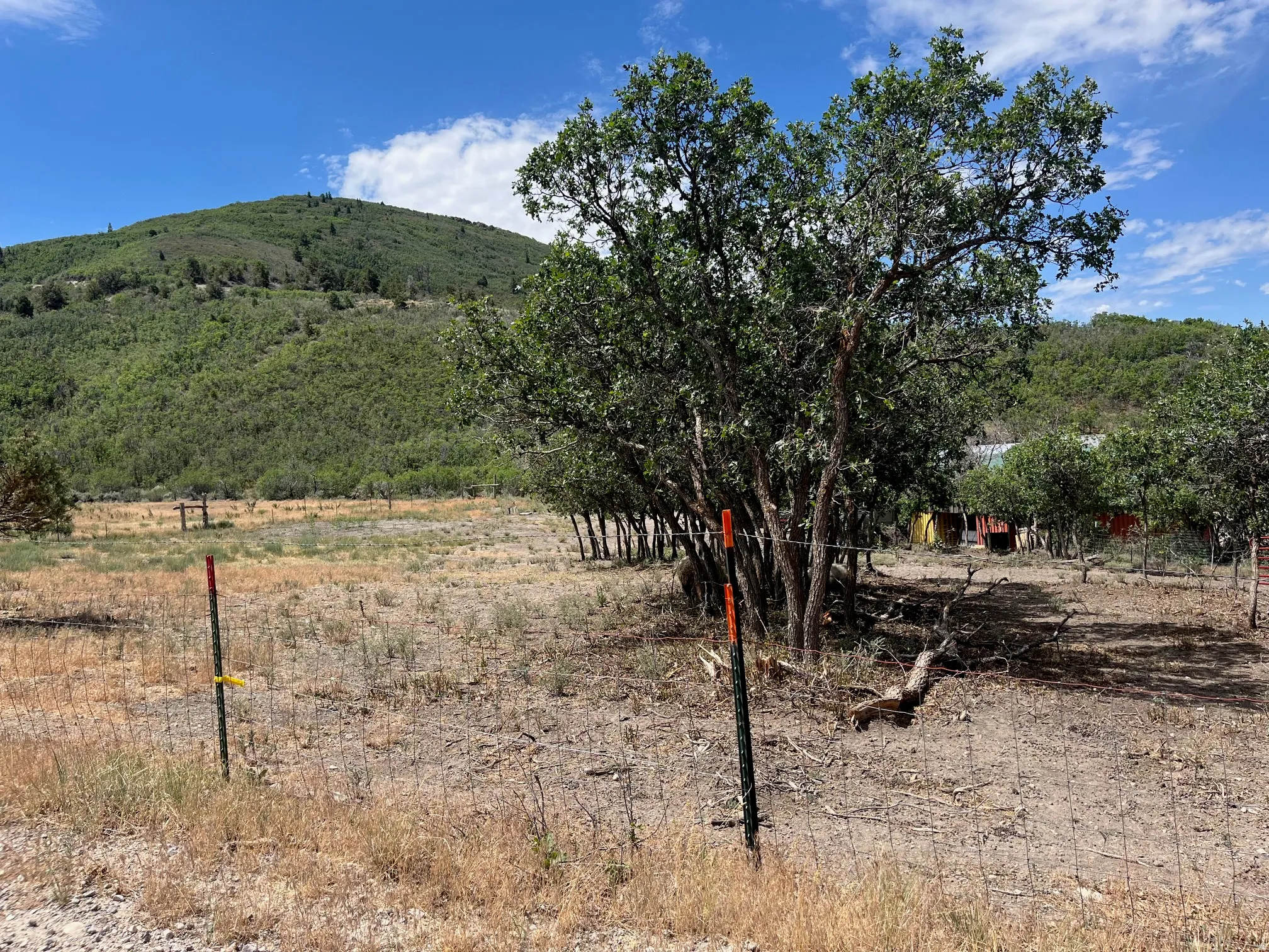 Expansive natural terrain featuring mature trees, partial fencing, and mountainous backdrop