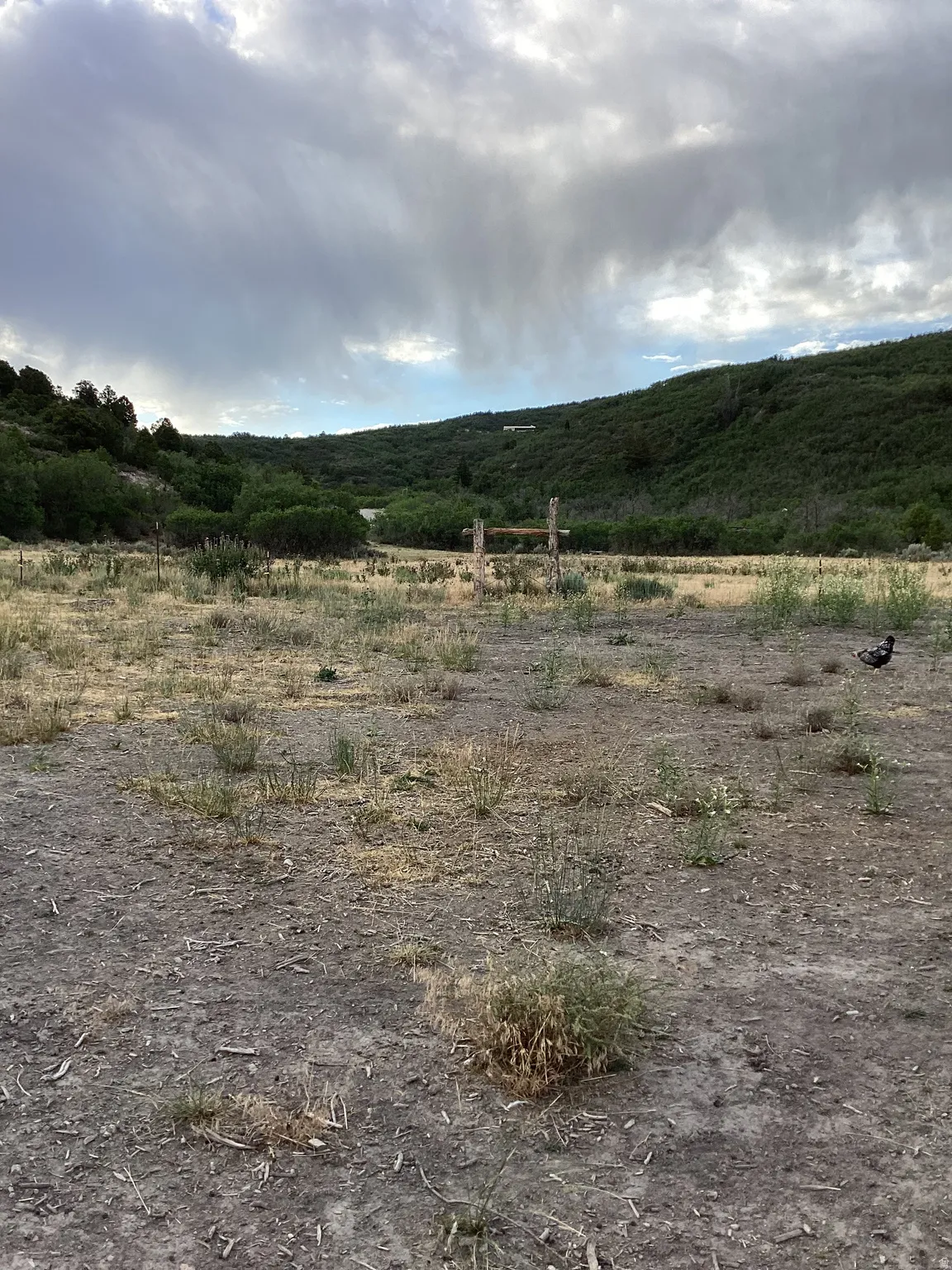 Expansive land parcel featuring natural terrain and distant hillside