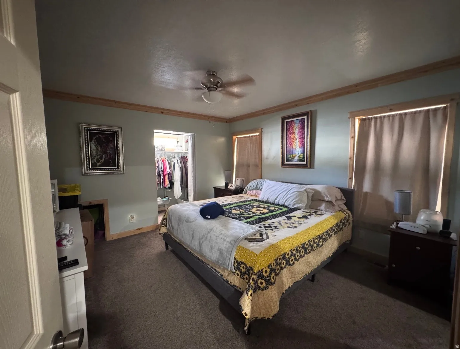 Carpeted room featuring a ceiling fan, wood-trim windows, and an open closet with shelving