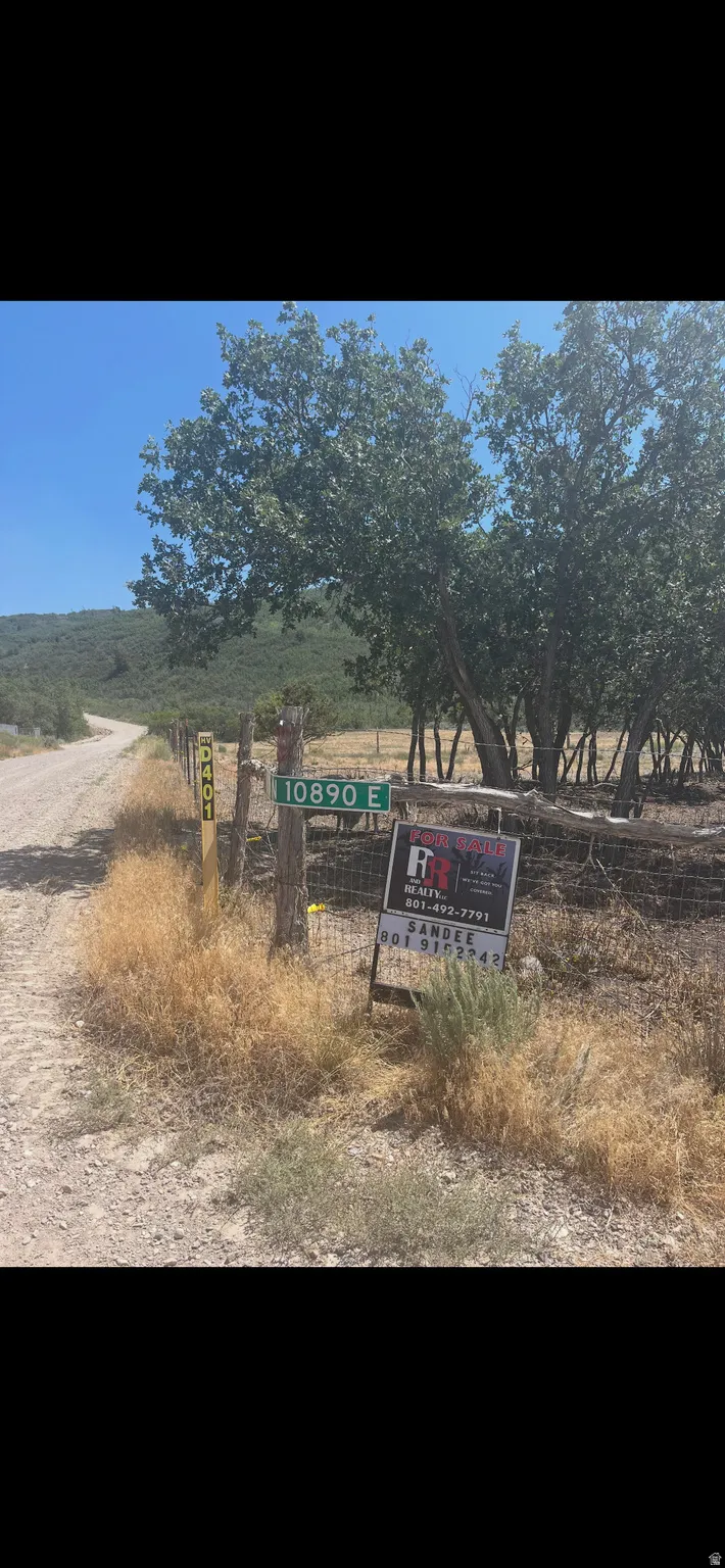 Property entry featuring a gravel road, mature deciduous trees, a wire fence, and a distant tree-lined hillside