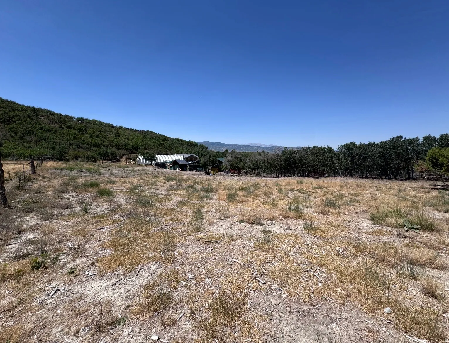 Expansive undeveloped lot with distant mountain backdrop, bordered by a dense tree line and a verdant hillside