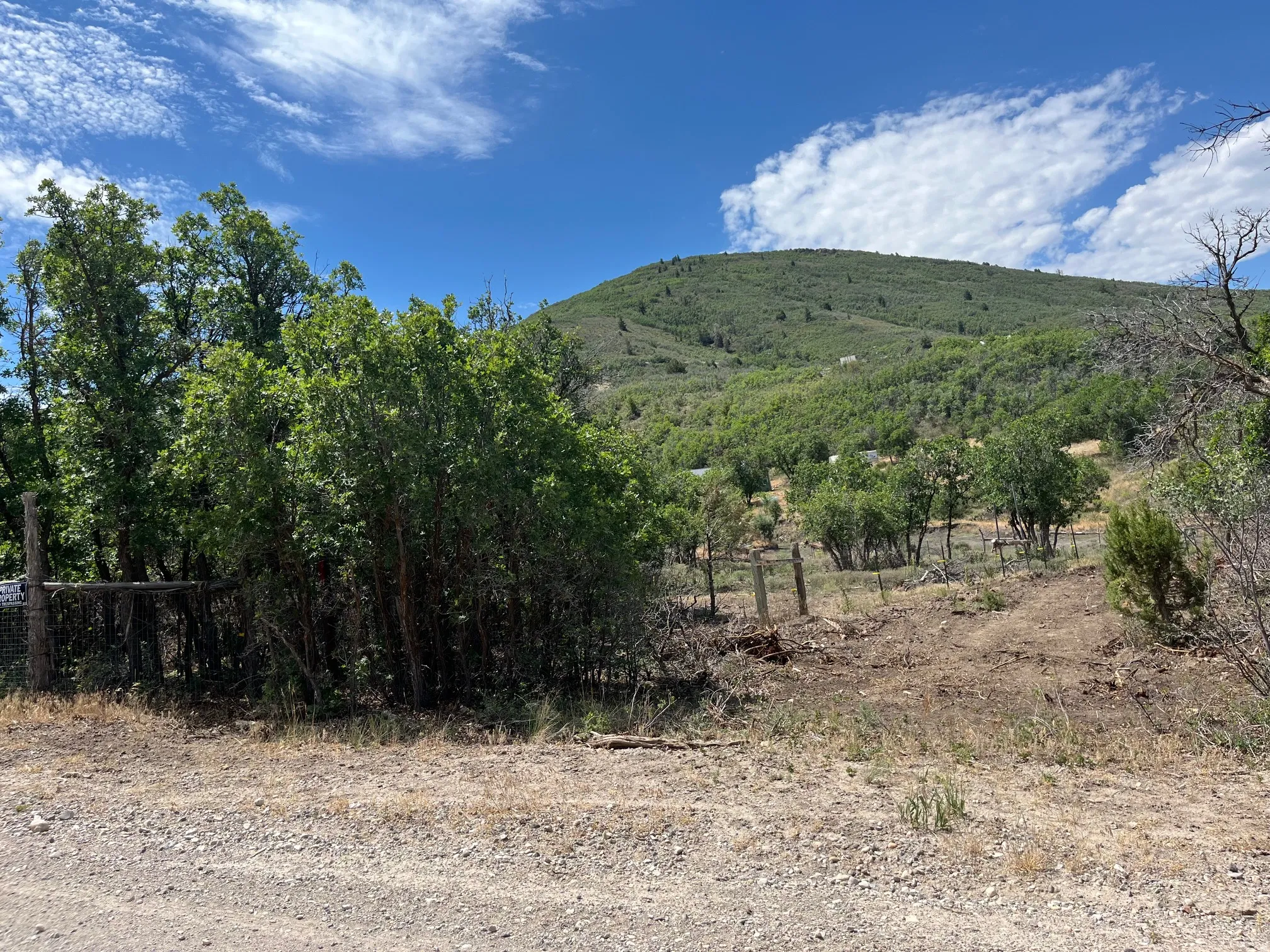 Expansive natural landscape featuring a prominent tree-covered mountain and a perimeter fence line