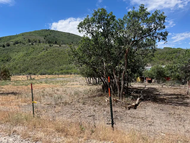 Expansive natural terrain featuring mature trees, partial fencing, and mountainous backdrop