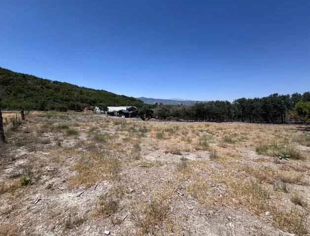 Expansive undeveloped lot with distant mountain backdrop, bordered by a dense tree line and a verdant hillside