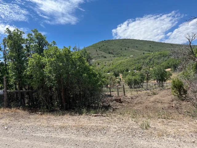 Expansive natural landscape featuring a prominent tree-covered mountain and a perimeter fence line
