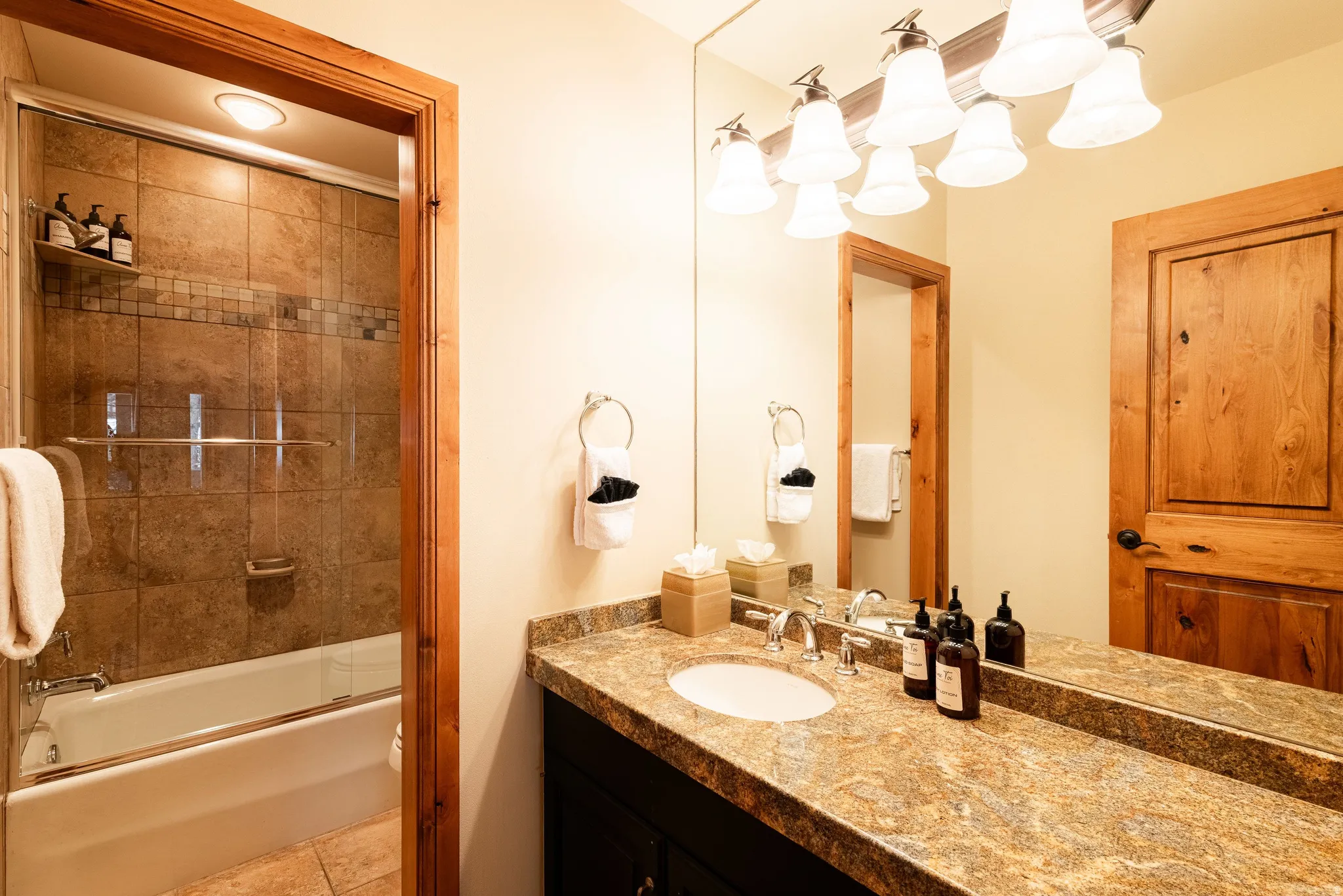 Bathroom featuring a single vanity with an oval sink, a stone-finish countertop, and a vanity mirror