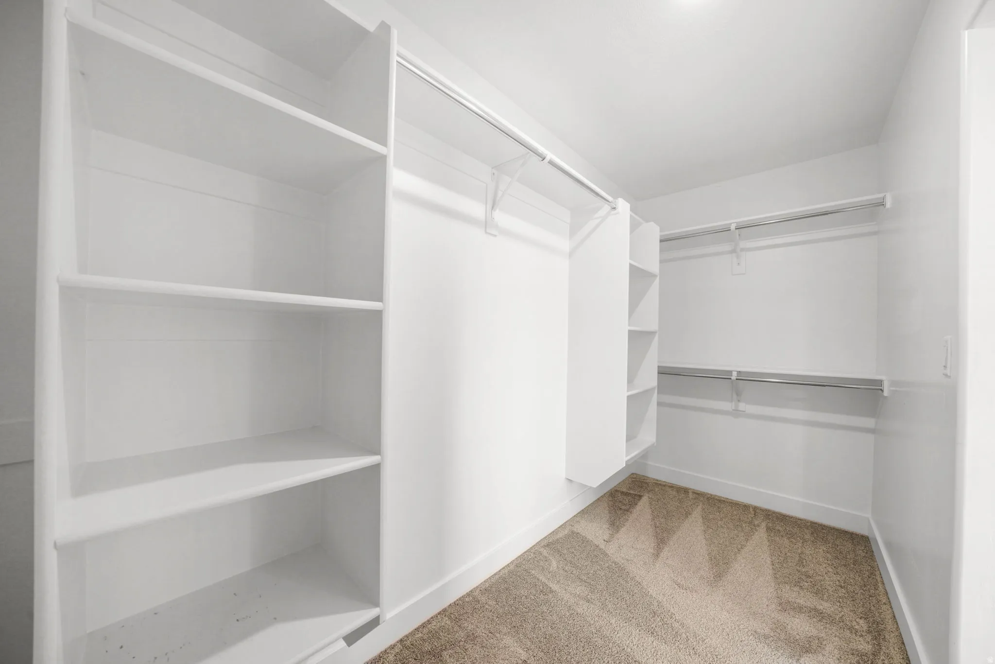 Walk-in closet featuring built-in shelving, multiple hanging rods, and neutral-toned carpeting