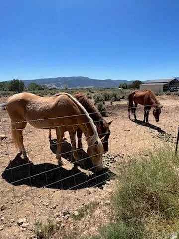 Expansive fenced acreage featuring natural terrain and distant mountain ranges