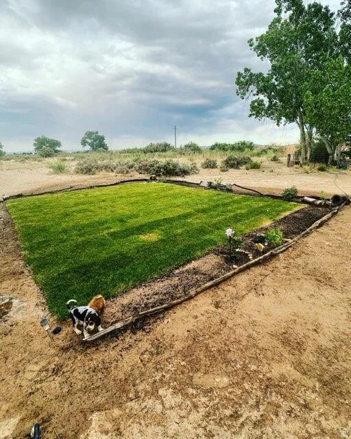 Yard