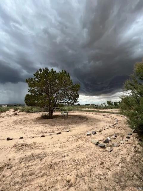 Expansive desert lot featuring a central mature tree and a decorative stone pathway