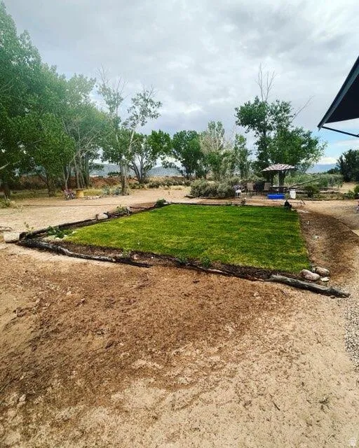 Expansive outdoor area featuring a central grass patch, natural tree line, and a distant gazebo structure