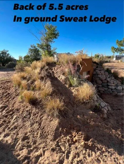 Image quality insufficient for description