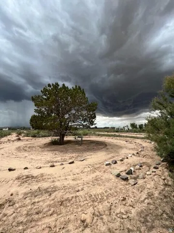 Expansive desert lot featuring a central mature tree and a decorative stone pathway