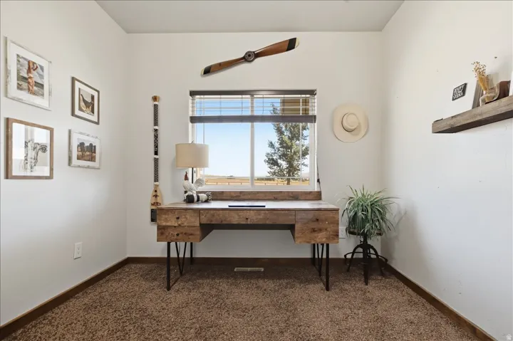 Dedicated room featuring a large window, neutral wall paint, and brown carpet flooring