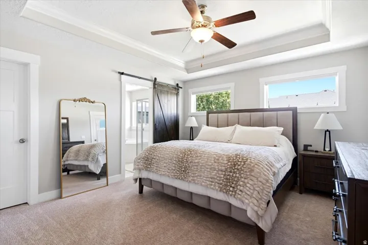 Spacious bedroom featuring a tray ceiling with a ceiling fan, two windows, and light-colored carpeting