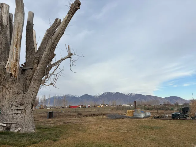 Expansive open land featuring distant snow-capped mountains