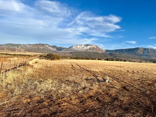 East view of property from lower 20 acres. Property for sale starts about the juniper tree line.