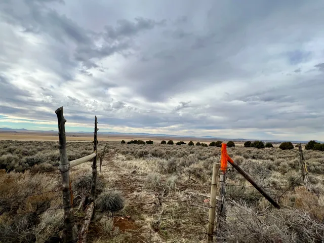 South east corner of 20 acre parcel looking west.