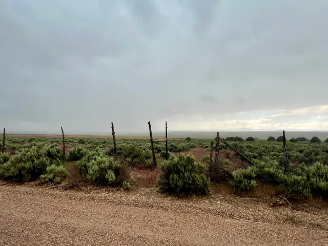 Gate at south east corner of property