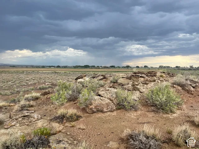 Expansive land featuring natural rock formations and diverse desert flora
