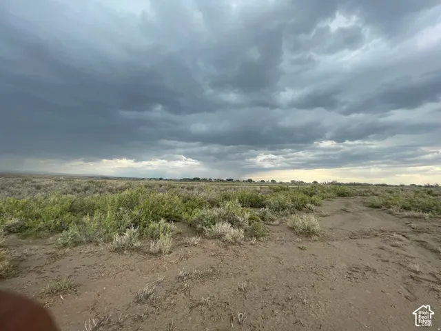 Expansive undeveloped land featuring natural vegetation and a distant horizon