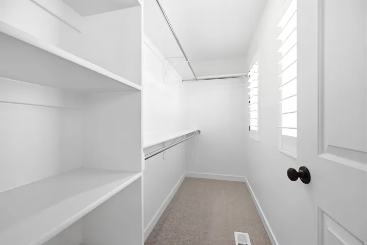 Walk-in closet featuring white built-in shelving, hanging rods, two windows with louvered shutters, and carpet flooring