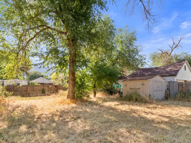Expansive outdoor space featuring a large mature tree, a storage shed, and perimeter fencing