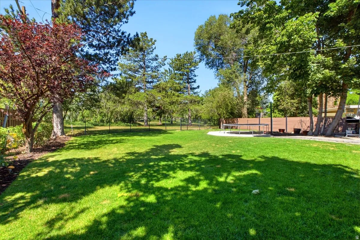 Expansive green lawn surrounded by mature trees and shrubs