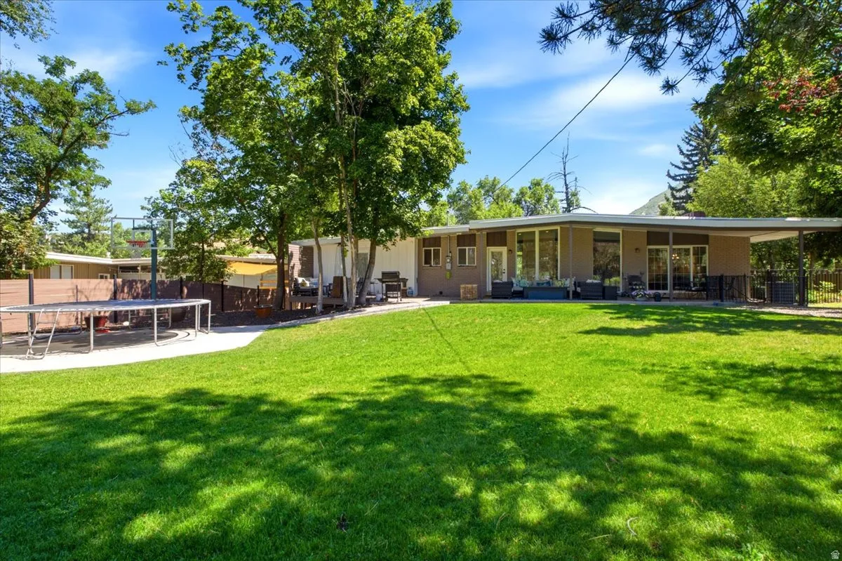 Expansive green lawn with mature trees and a contemporary single-story residence