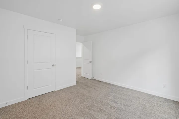 Neutral-toned carpet flooring