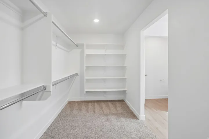 Recessed lighting, built-in shelving, chrome hanging rods, and carpet flooring